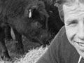 Inspecting drench-free cattle