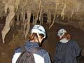 Stalactites, Ōpārara caves
