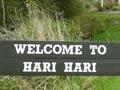 Welcome to Hari Hari