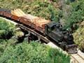 Train near Seddonville, 1968