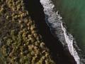 Waikato Heads