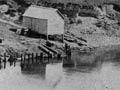 Hamilton, 1866