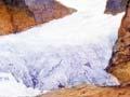 Fox Glacier 