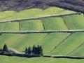 Re-contoured land near Waimangaroa