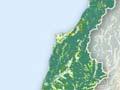 West Coast vegetation