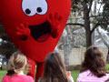 Heart Foundation