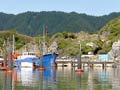 Tarakohe harbour