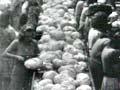 Food for war