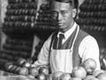 Chinese greengrocer