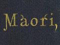<em>The Aryan Maori</em>