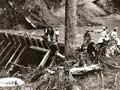Logging kauri: driving dams