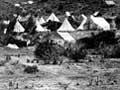 Thames during the gold rush