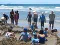 Coromandel beaches: Hot Water Beach