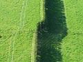 Greendale Fault