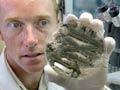 Toxic fungus