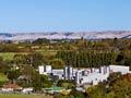 Milk plant, Tuamarina