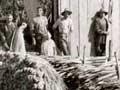 Gibsontown flax mill, 1906