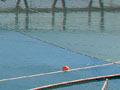 Te Pangu salmon farm