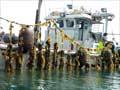 Harvesting mussels
