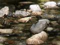 Sawcut Gorge