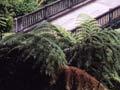 Soldier settlement: 'bridge to nowhere'