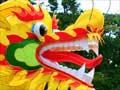 Chinese New Year, Auckland