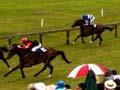 Boxing Day races at Pirongia