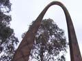 Opening the New Zealand memorial, Canberra 