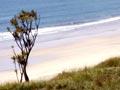 Anaura Bay