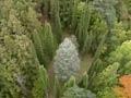 Eastwoodhill arboretum