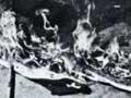 Flag burning at an anti-Vietnam War protest