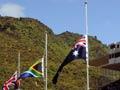 National flags flying at half-mast