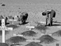 New Zealand war cemetery near El Alamein 
