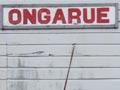 Ōngarue village store, 2011