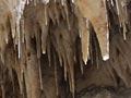 Limestone country: stalactites