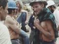 Pureora Forest protest, 1978