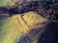 Tuitahi pā site