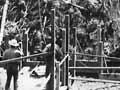 North Island main trunk line: building the Makatote viaduct, 1906