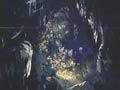 Railways publicity: Waitomo Caves