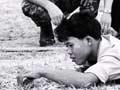 Landmine clearing, Cambodia