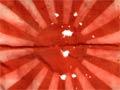 Captured Japanese flag