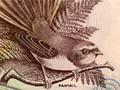 Third series of banknotes: $1 