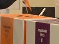 Voting in 2011 general election