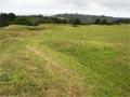 Te Ruapekapeka pā today