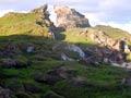 Low-growing vegetation, Cheeseman Island