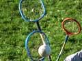 Equestrian activities: polocrosse