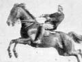 A leaping competition