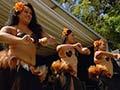 Video: Performing at Pasifika, 2015