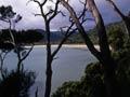 Coastal view from the Rakiura Track