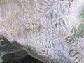 Moriori rock carvings